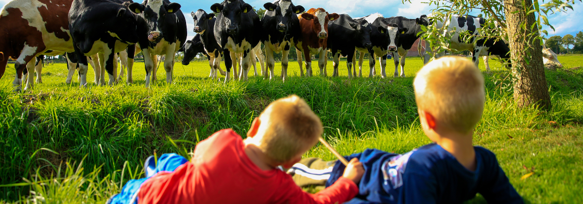 Toolkits Veilig spelen op de boerderij