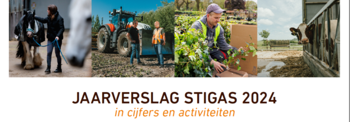 Jaarverslag Stigas 2024