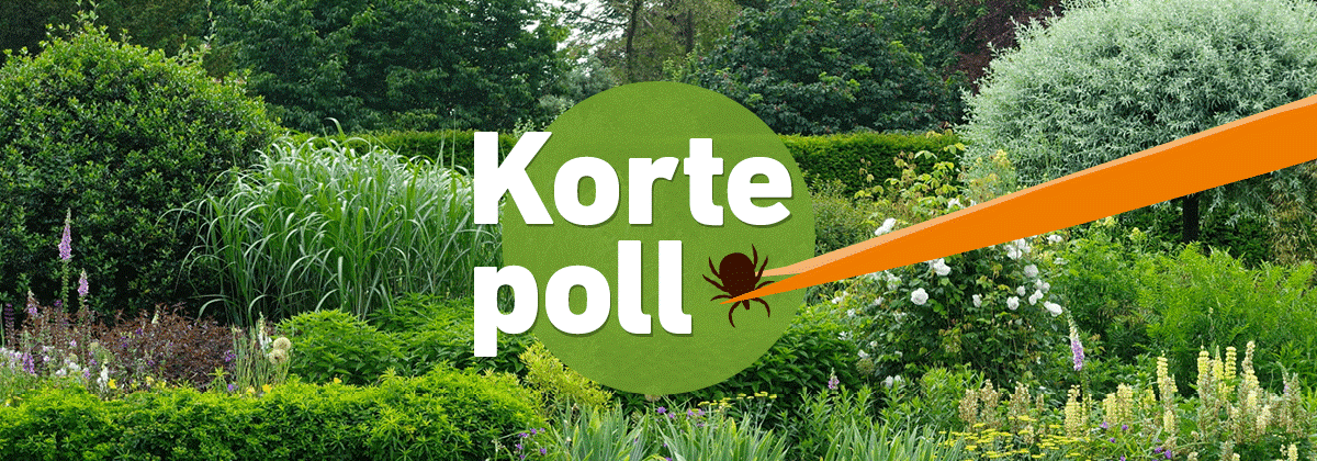 Tekenpoll