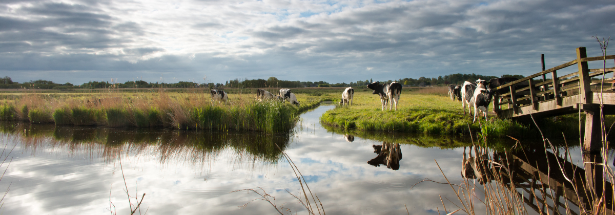 Vier dodelijke ongevallen in 2024